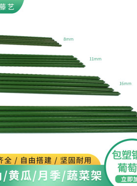 爬藤架庭院葡萄架子花卉植物花支架种植箱固定花架支撑杆户外架杆