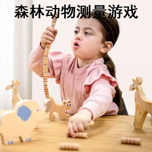 学习比较森林动物测量游戏