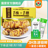 小彩糯 露茵小彩糯玉米鲜黏糯花玉米棒粘嫩非东北10送1