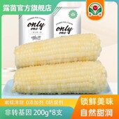 露茵甜糯小玉米棒甜糯玉米粘黏现摘真空装 小白糯 非转基因8棒
