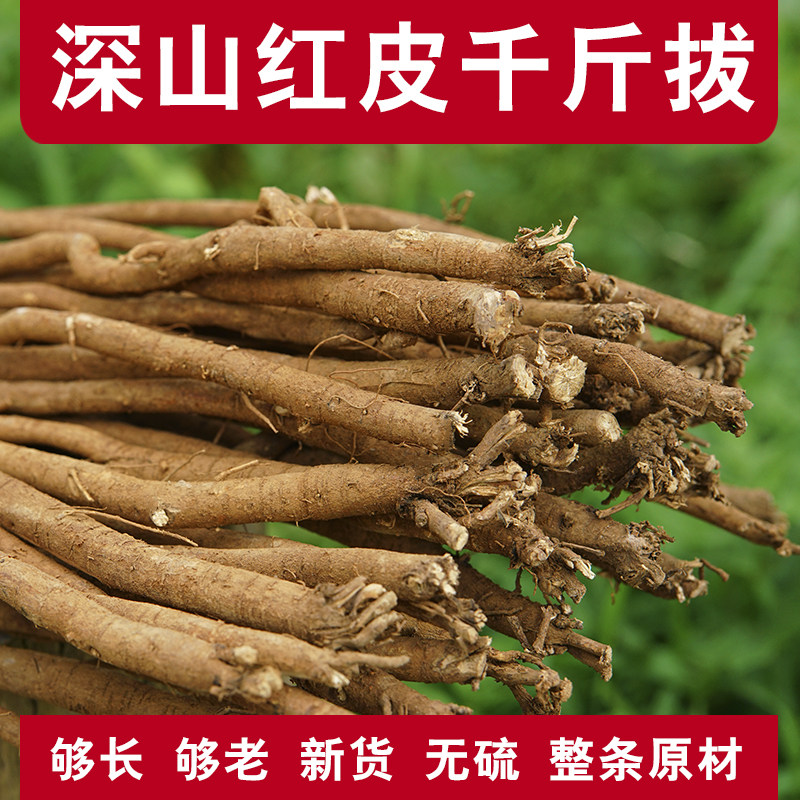 野生千斤拔干货500g千金拔一条根钻地风中草药材无添加泡酒煲汤料
