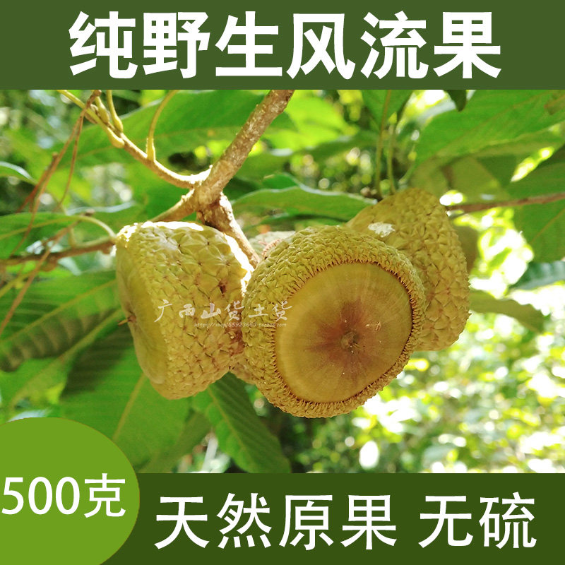 无硫天然野生风流果500g新货带皮果原果广西石头果男性滋补泡酒料