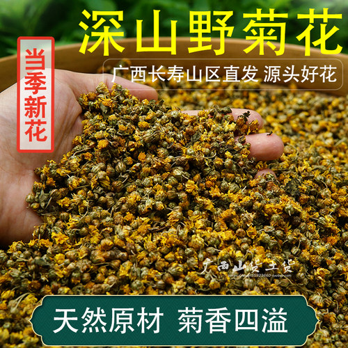 野菊花天然无硫花香四溢效果好