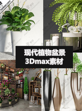 绿植植物盆栽摆件3D单体模型室内装饰室内设计素材3Dmax模型源文
