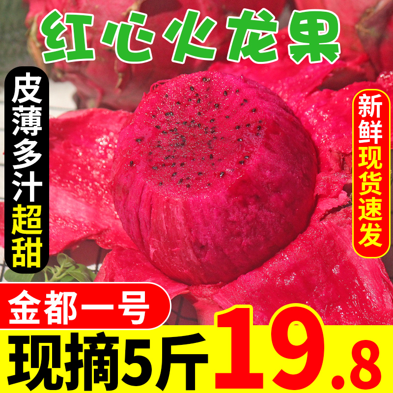 金都一号红心火龙果5斤新鲜当季水果海南大果应季红肉10整箱包邮