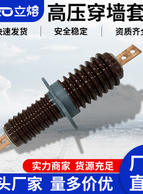 立熔户外12KV高压铜排陶瓷穿墙套管CWW-CWLB-10KV/630A/400A/200A