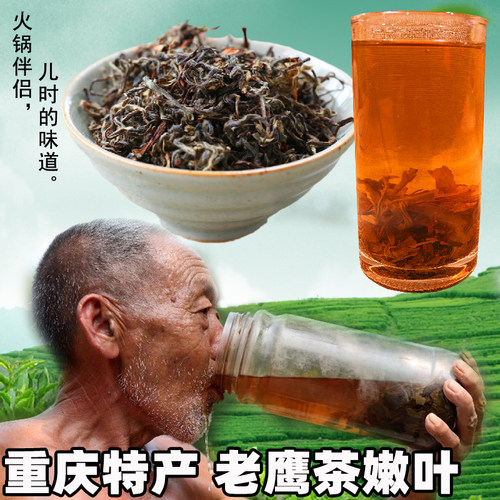 野生老鹰茶四川重庆特产