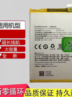 适用于Realme真我12 真我13 RMX3992 RMX3952手机电池BLPA17