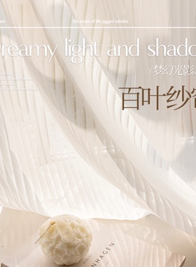 竖百叶纱帘透光不透人奶油色梦幻帘白纱窗帘阳台防晒飘窗白色窗纱