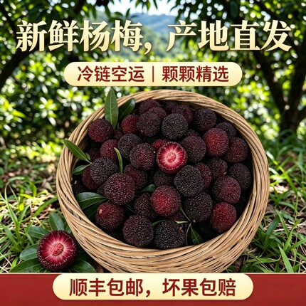 【至尊大果新鲜慈溪余姚荸荠种富硒杨梅健康水果现摘现发顺丰包邮