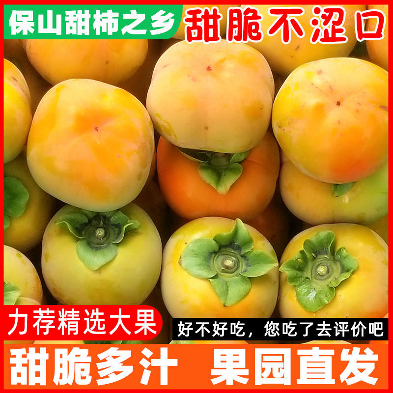 现摘脆柿子新鲜巧克力硬柿子水果3/5/8斤整箱批发时令甜柿子软柿