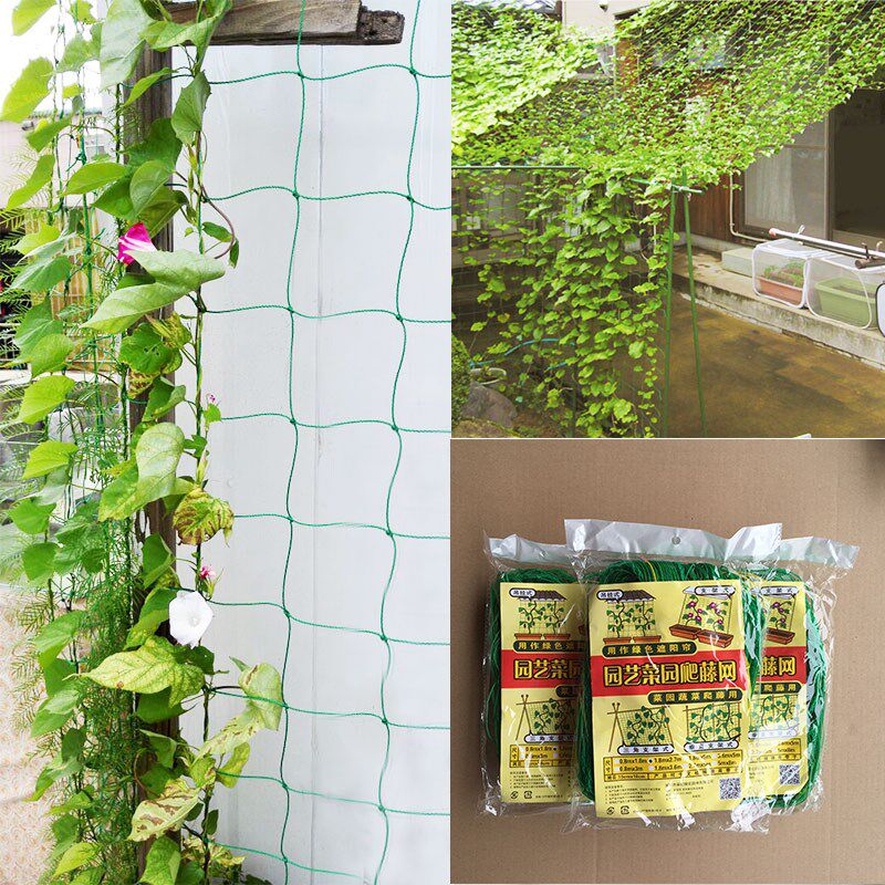 Melon frame Showy thickening rope Climbing Jacobs Vegetable garden Flower stand plant Shelf Climbing Mesh clothin the Flower delivery/Flowers simulation/Plants gardening , Gardening supplies , Other Garden Supplies  category - from Buy2taobao.com to provide professional Taobao agent buy service