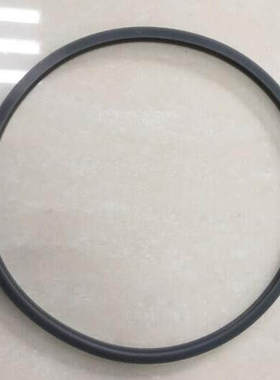 上海申安DSX-18L手提式蒸汽灭菌器密封圈24升消毒锅配件皮圈30升