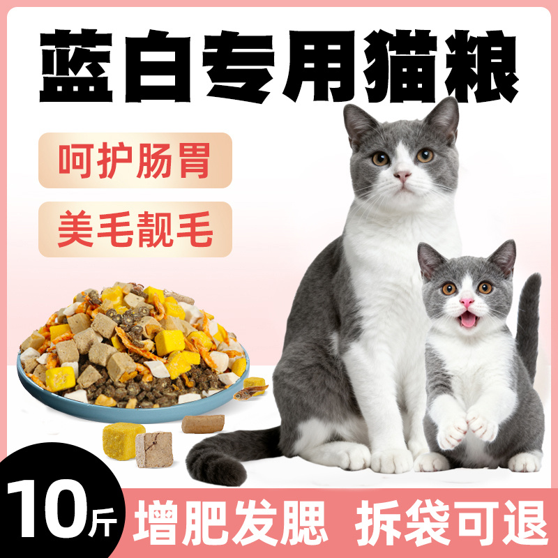 英短蓝白猫专用猫粮20斤