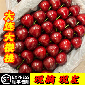 大连樱桃2斤0-8°大连新鲜采摘