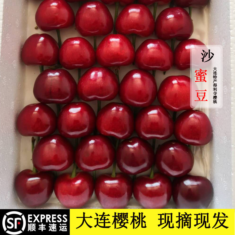大连樱桃新鲜水果顺丰包邮现货国产砂蜜豆特大樱桃车厘子5斤礼盒