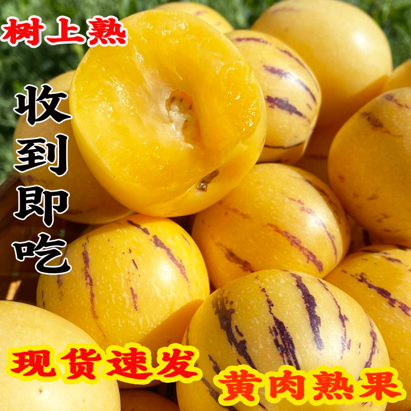 石林人参果现摘现发石林