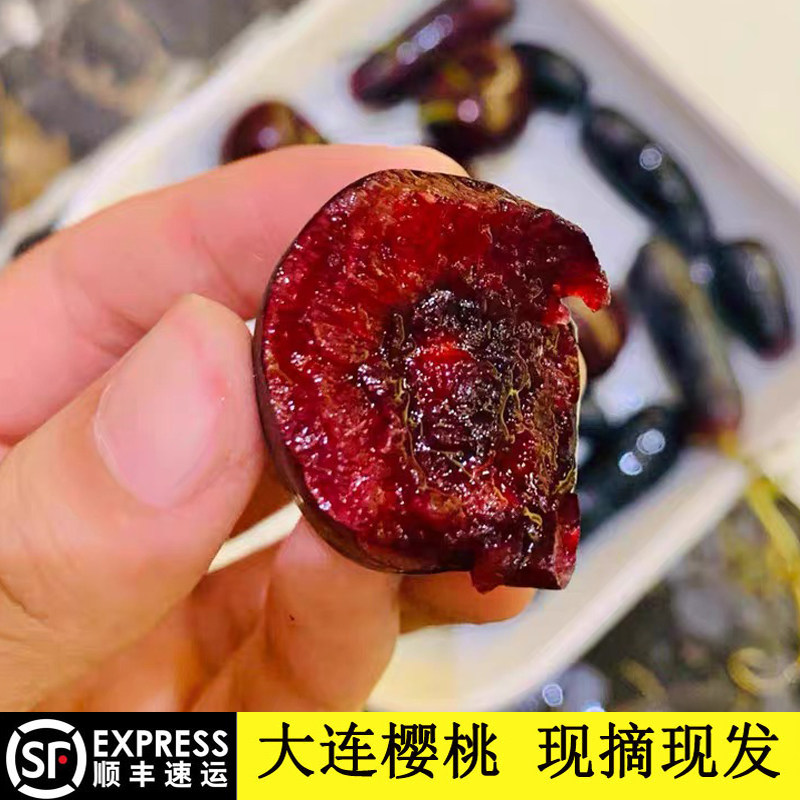 大连樱桃美早黑珍珠山东黑珍珠