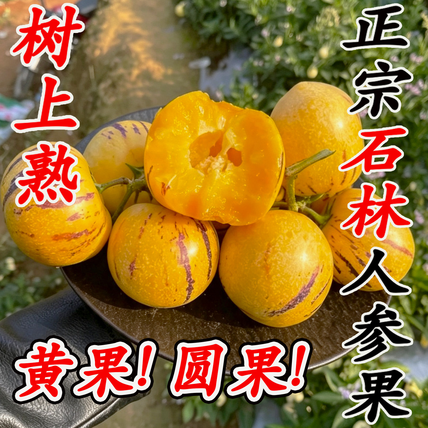 云南石林人参果树上熟新鲜水果大果低糖孕妇老人3斤5斤整箱包邮