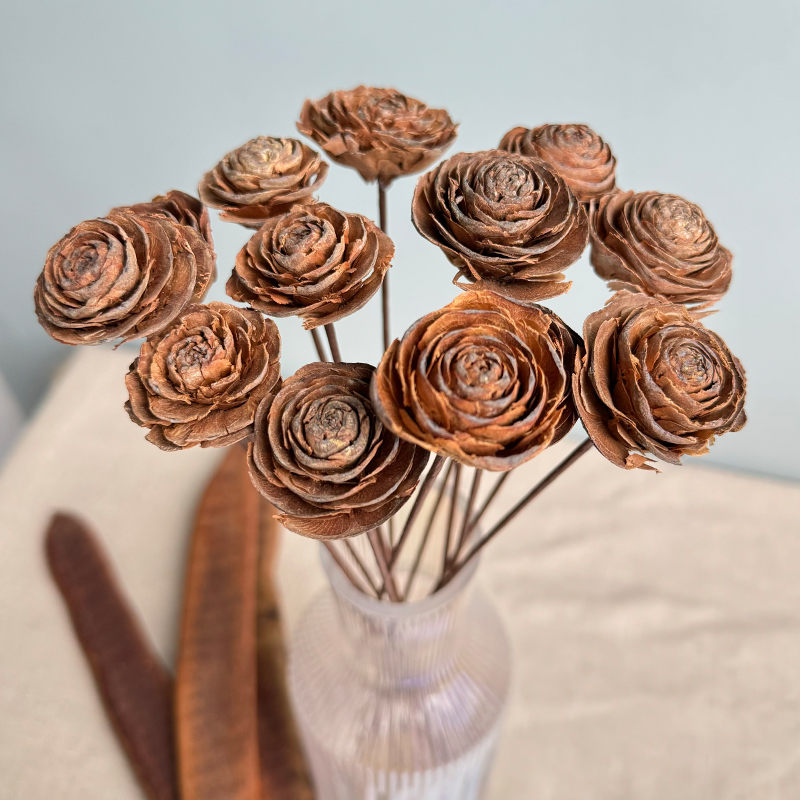 DIY天然雪松果迷你木玫瑰干花