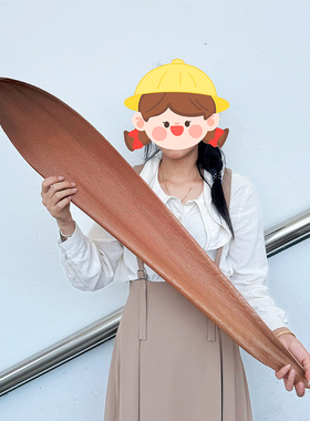 巴西进口超大号可可叶真干花植物摆件样板房装饰托盘树叶拍摄道具