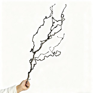 花开云间新品枝条天然弯曲树枝龙枣枝中式花艺造景插花装饰干树枝