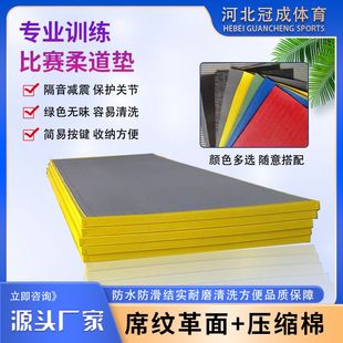 柔道垫专业比赛训练摔跤垫防滑柔术散打搏击榻榻米跆拳道训练垫子