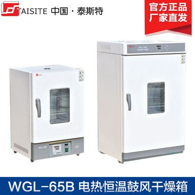天津泰斯特WGL-30B 45B 65B 125B 230B 625B电热鼓风干燥箱 立式