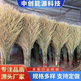 天然竹子一体大扫把 金枝竹叶大扫帚 学校环卫物业工厂