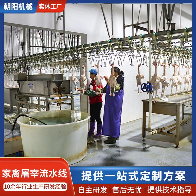 定制家禽屠宰全自动流水线鸡鸭鹅宰杀设备电动杀鸡拔毛生产线