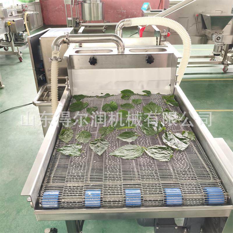 2025预制菜爆款 香酥翠叶裹浆油炸生产线 鲜桑叶上浆机 配方指导