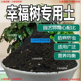 幸福树营养土花卉绿植盆栽种植土花土疏松透气肥沃砂质土壤专用土