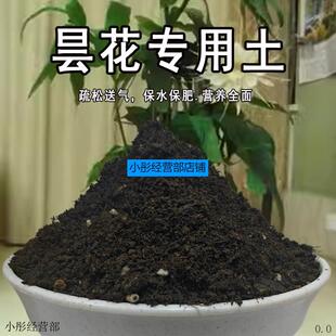 昙花专用土昙花土盆栽土营养土通用种花养花泥土壤种植土有机肥料