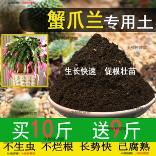 蟹爪兰专用土盆栽酸性土园艺家用营养土壤种植土通用土有机土肥料