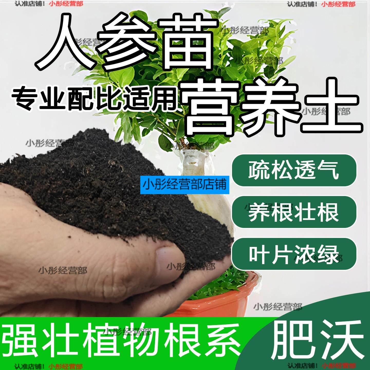 人参苗专用土人参苗土种植土壤营养土盆栽种花泥土透气通用养花土