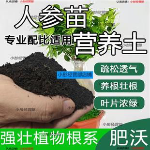 人参苗专用土人参苗土种植土壤营养土盆栽种花泥土透气通用养花土