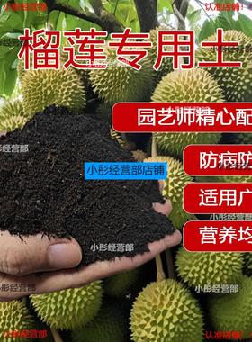 榴莲专用土种花泥土室内通用养花土果树有机肥榴莲营养土种植土壤
