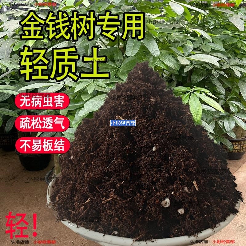 金钱树轻质育苗蓬松盆栽营养土通用专用种菜养花土壤种植土