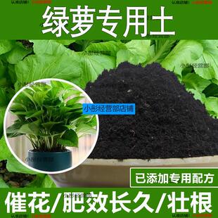 绿萝专用土绿萝专用营养土酸性土种植土通用土有机土肥料养花种花
