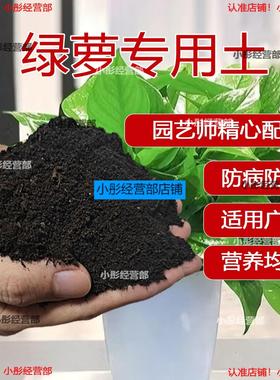 绿萝专用土营养土种花土有机肥料花卉种植土长藤垂吊植物通用土壤