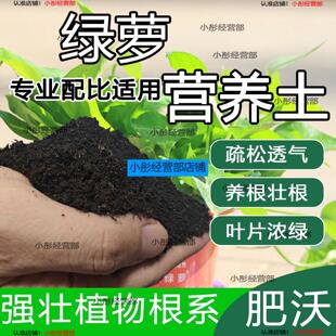 绿萝专用土绿萝专用营养土养花通用型家用种植土绿植有机土壤肥料