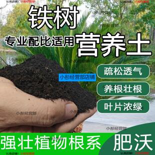 铁树专用土营养土透气通用土壤养花土壤家用种植土有机肥料培养土