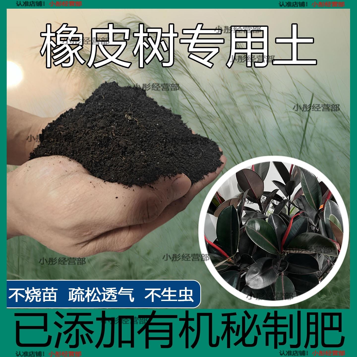 橡皮树专用土橡皮树专用营养土盆栽养花种花土通用种植土有机肥料