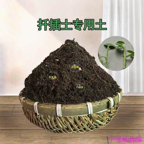 扦插专用土营养土养花通用型土壤育苗专用营养土养花泥土种植土壤