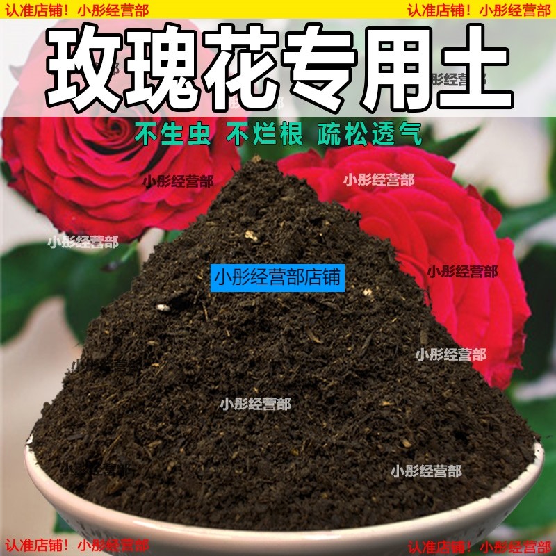 种玫瑰花专用土营养土盆栽大马士革玫瑰花土壤泥土种植土肥料蔷薇