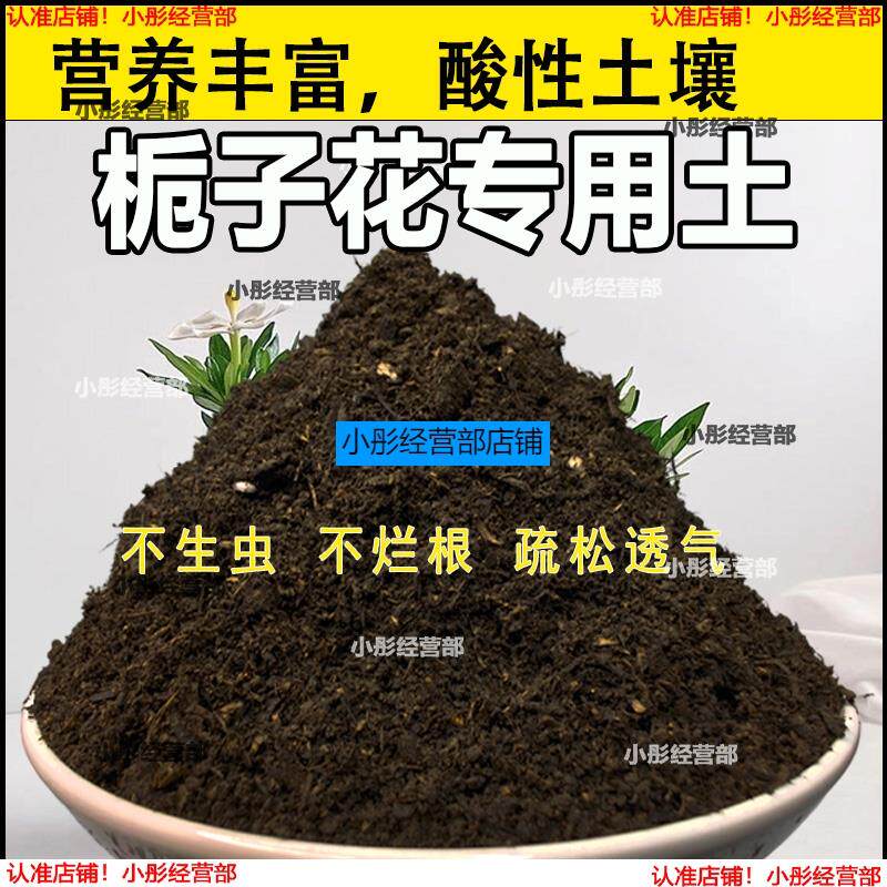 栀子花专用土栀子花专用营养土家庭种植土养花土通用型种花土肥料