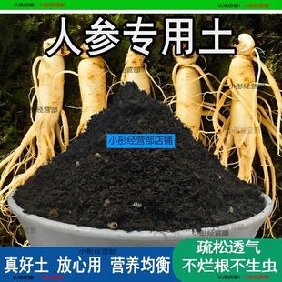 人参专用土人参专用营养土家庭种植土养花土通用型种花土有机肥料