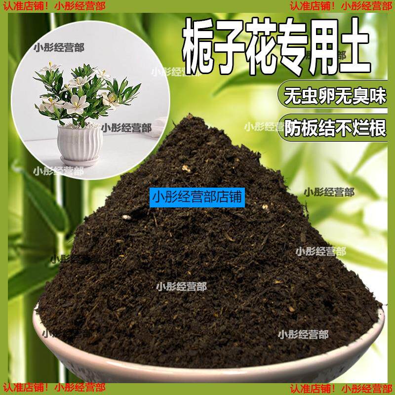 栀子花专用土栀子花专用营养土家庭种植土养花土通用型种花土肥料