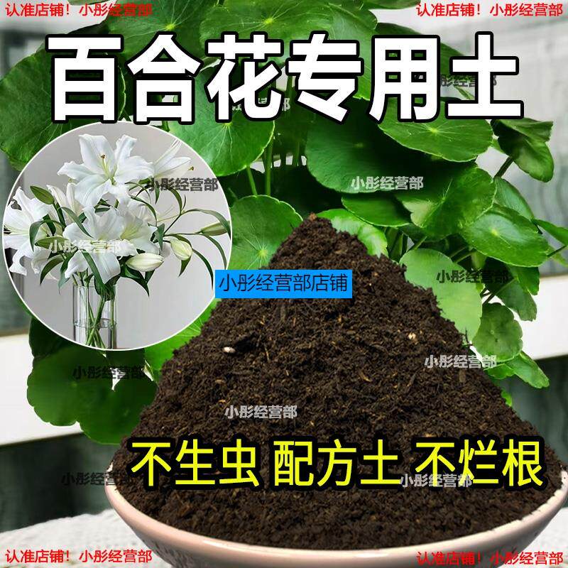 土香水百合花专用营养土营养庭院土壤用品阳台花园养花肥料植物土