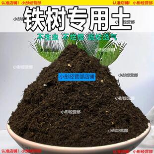 铁树专用土营养土透气通用土壤养花土壤家用种植土有机肥料培养土